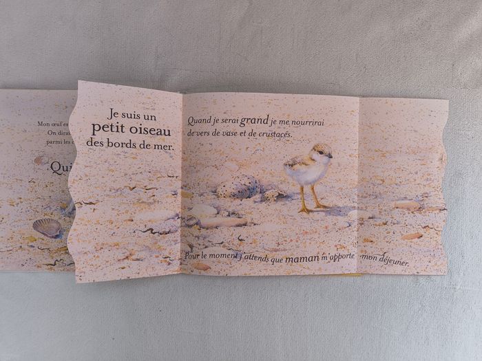 Livre À qui est cet œuf ? - photo numéro 6