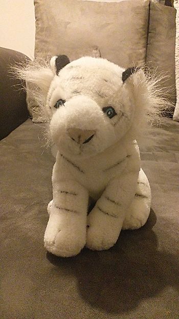 Peluche