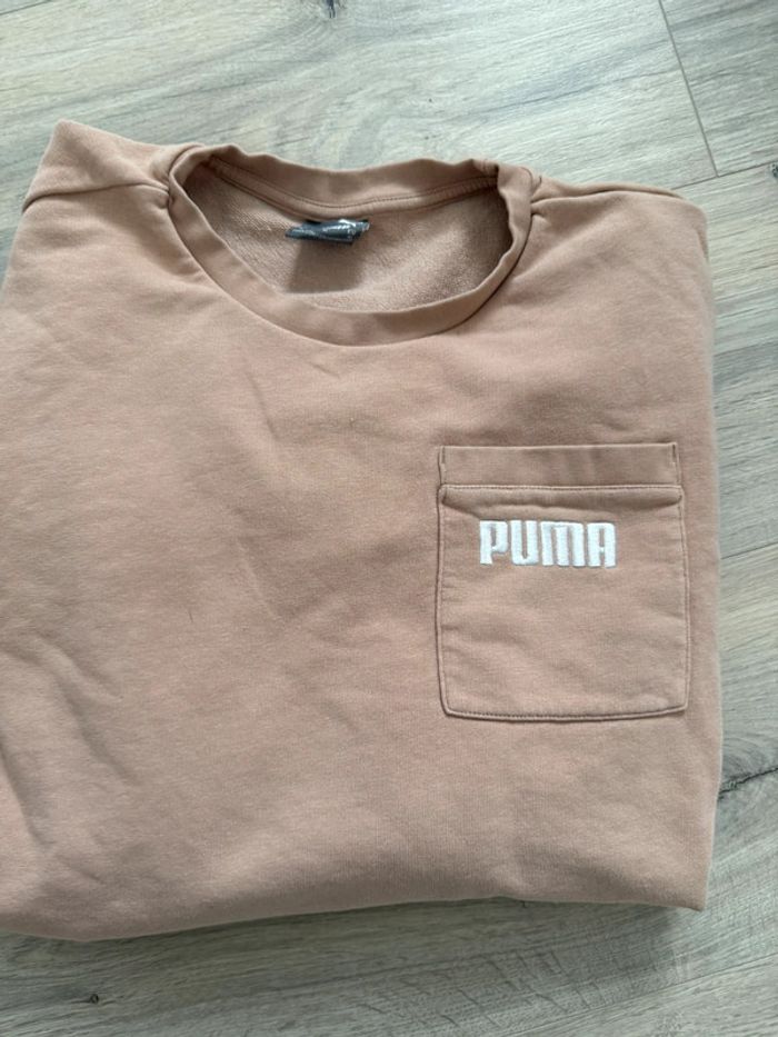Pull puma