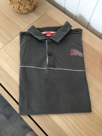 Polo puma 14ans