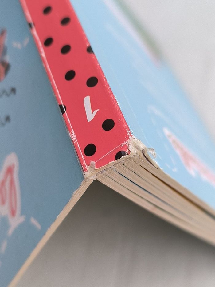 Livre La petite coccinelle - photo numéro 9