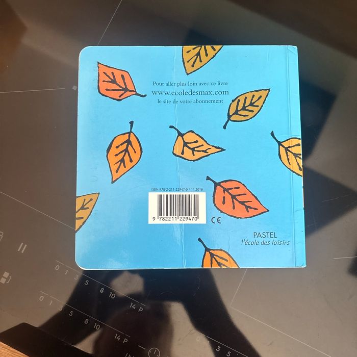 Le vent m’a pris - photo numéro 4