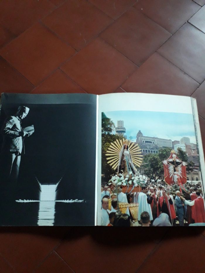Livre Féerie Brésilienne - photo numéro 2