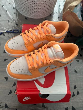 Dunk Nike pêche neuf 41
