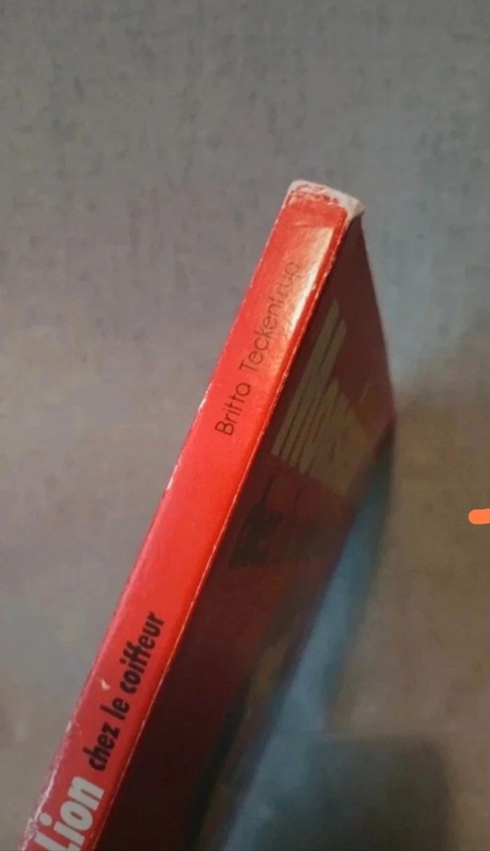 Livre cartonné monsieur lion chez le coiffeur - photo numéro 2