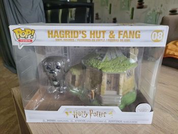 POPS HAGRID'S HUT ET FANG
