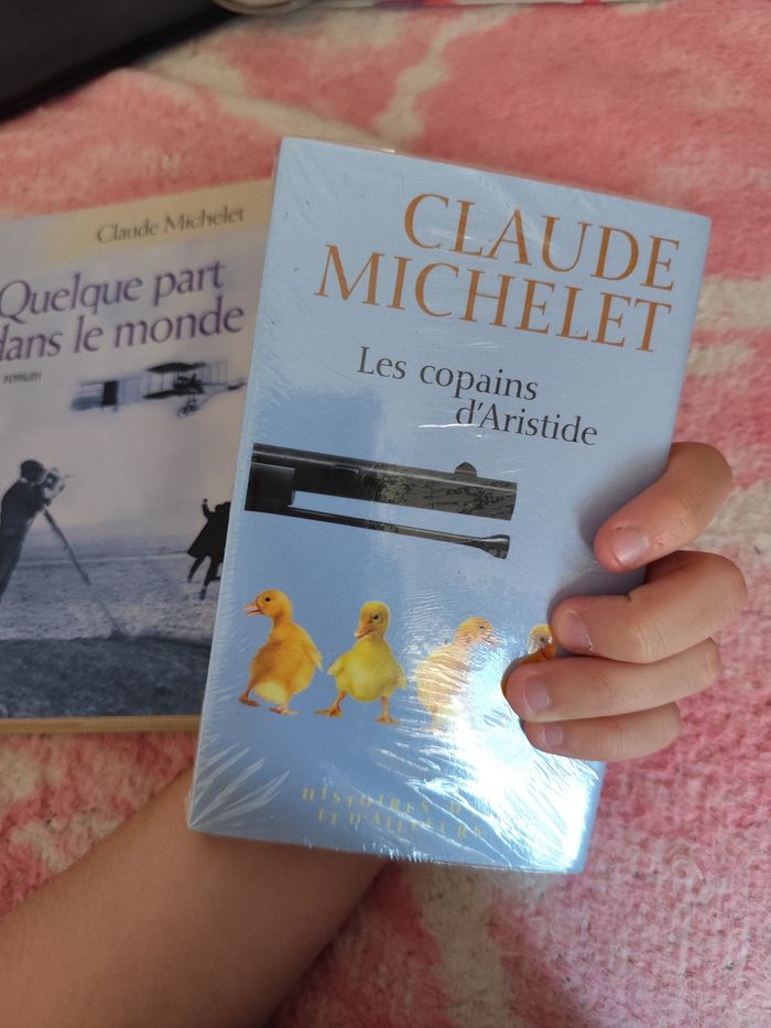 Lot de deux livres Claude Michelet - photo numéro 7