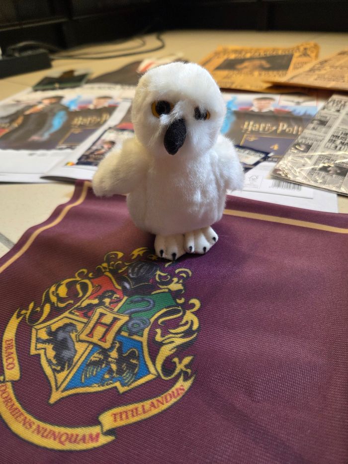 Lot de 13 goodies Harry Potter - photo numéro 6