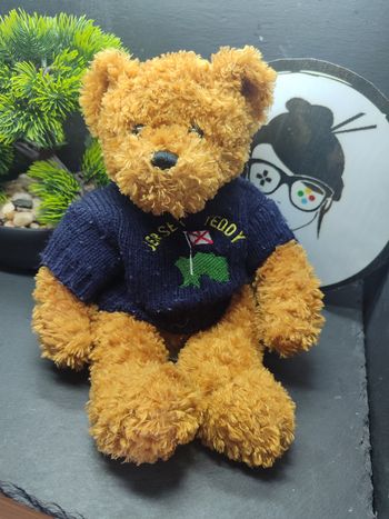 plush jersey Teddy Bear channel island pull brown marron Peluche Ours 