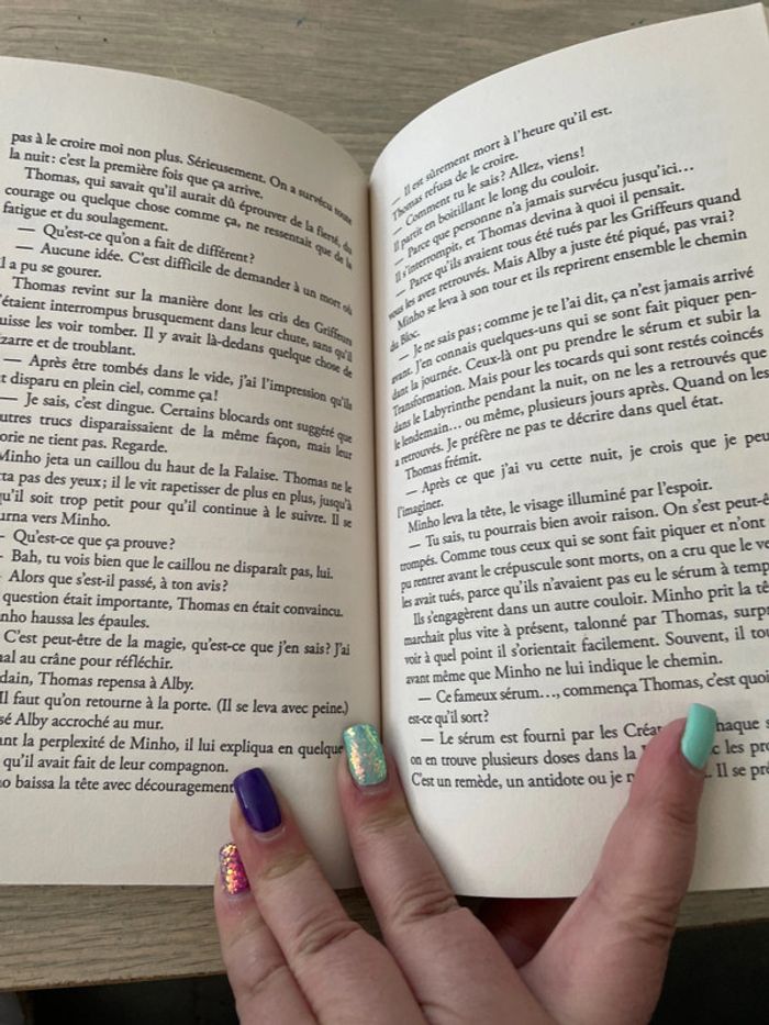 Livre le labyrinthe - photo numéro 3
