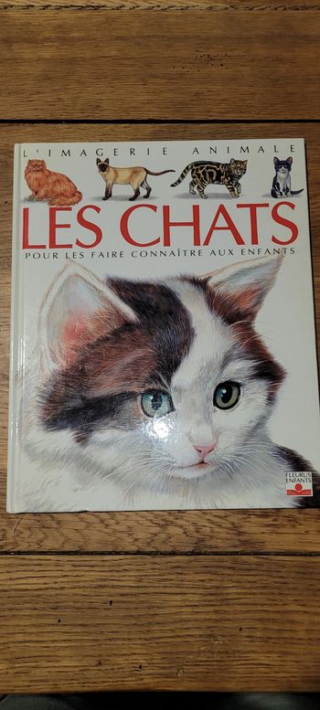 Les chats pour les faire connaître aux enfants 