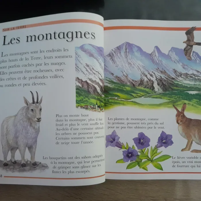 ma grande encyclopédie + 5 ans - photo numéro 4