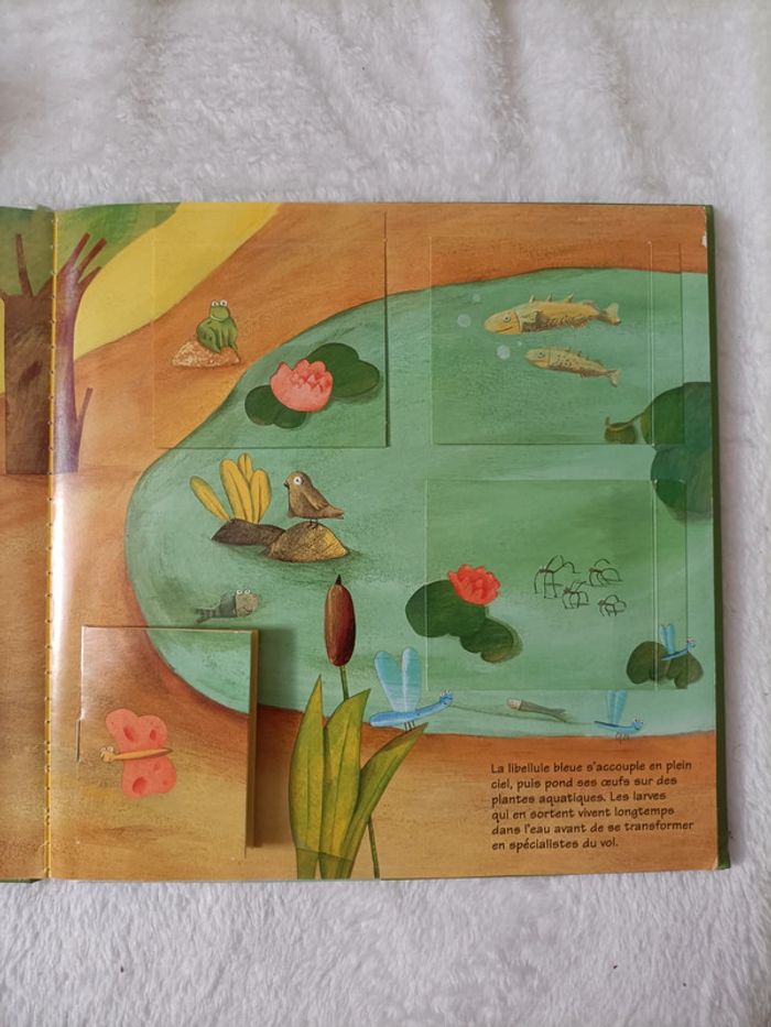 Kididoc – Les bébés animaux - photo numéro 3