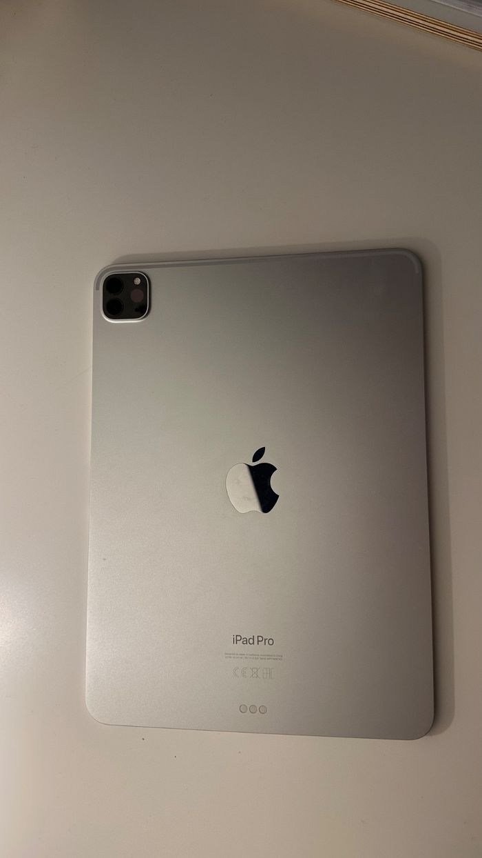 IPad Pro 11 (4e génération) 2024 - 256 Go