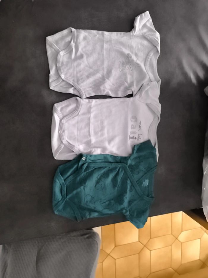 Bodies