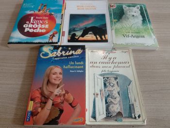 Lot de 5 livres de poche(17)