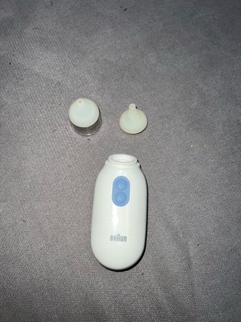Mouche bébé