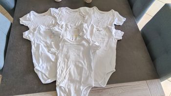 Lot 7 bodies manches courtes + 1 offert 36 mois  (98cm)