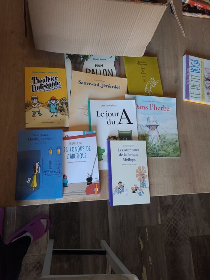 Lot 9 livres École des loisirs