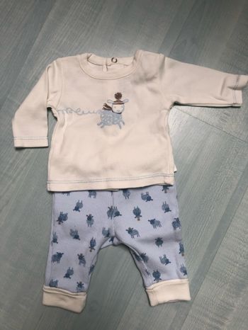 Ensemble absorba naissance