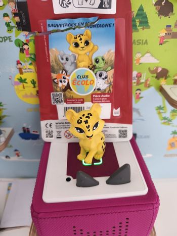 Tonies sauvetage en montagne 