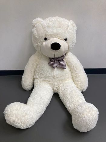 Ours en peluche blanc