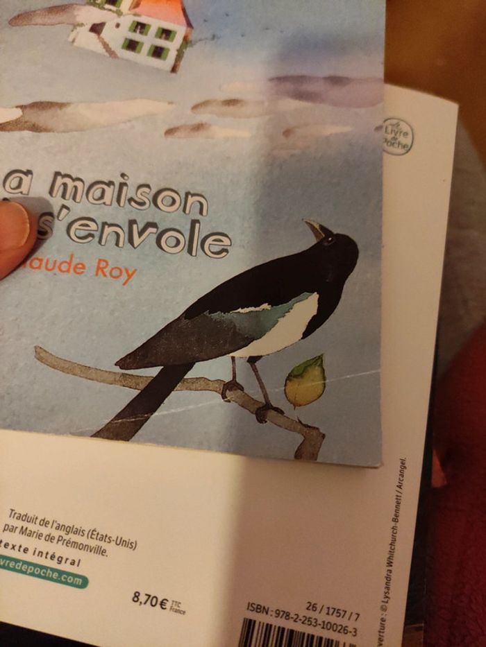 La maison qui s'envole - photo numéro 4
