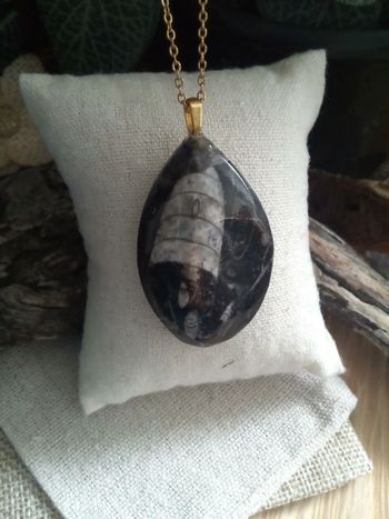 Collier pendentif en pierre de trilobite naturelles