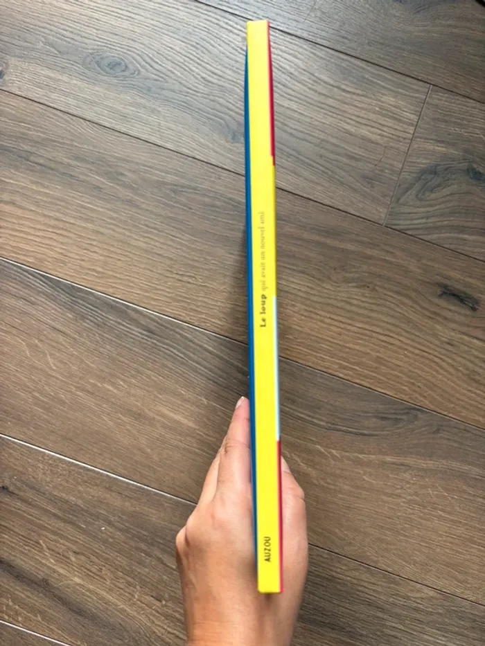 Livre le loup qui avait un nouvel ami grand album Auzou - photo numéro 4