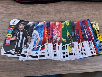 Lot carte Album panini