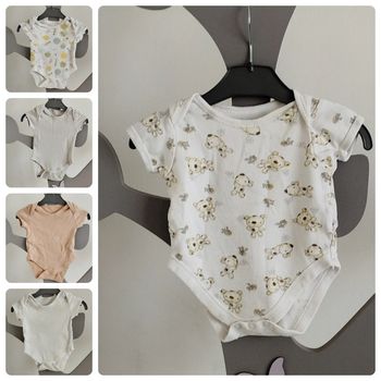 Lot de 5 bodies manches courtes taille 3 mois