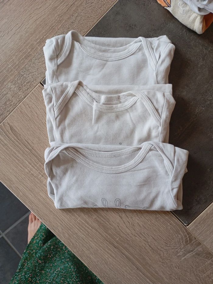 Lot de 3 bodys