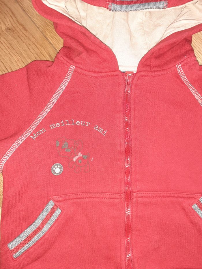 Ensemble chien 24mois - photo numéro 3