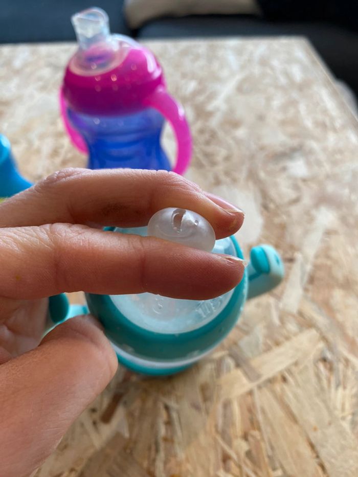 Lot gourdes - photo numéro 2