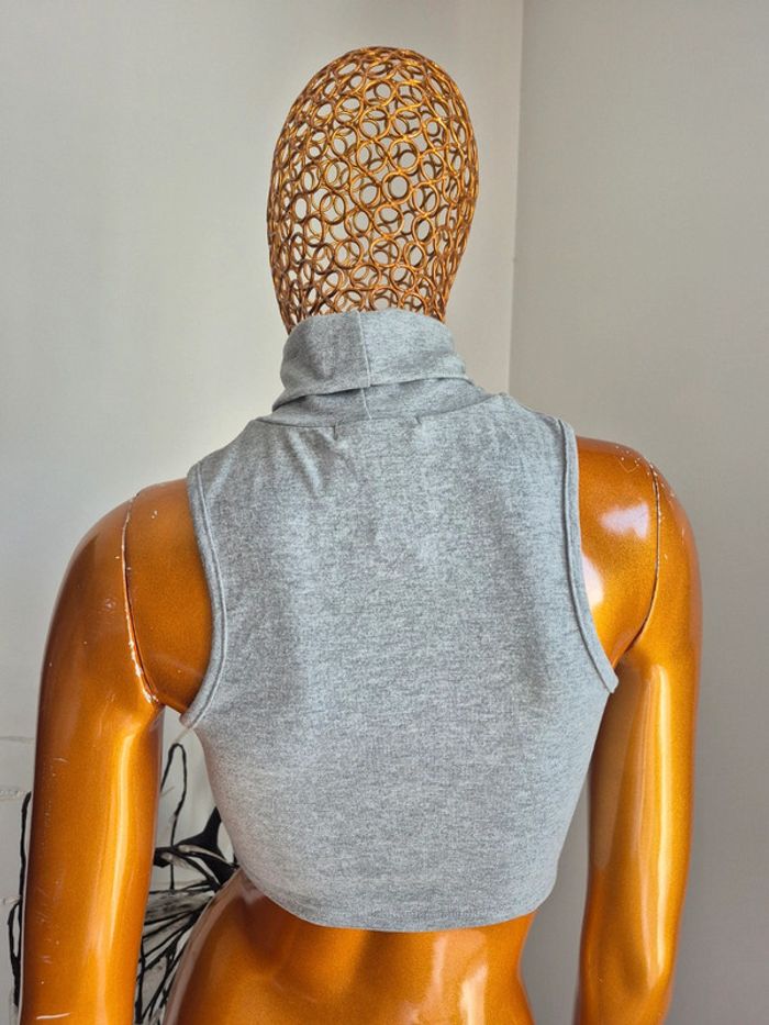 Top Gris - photo numéro 2