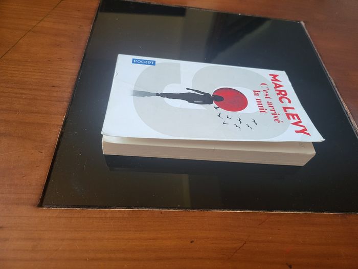 Livre 📖  c'est arrivé la nuit 🌃 - photo numéro 2