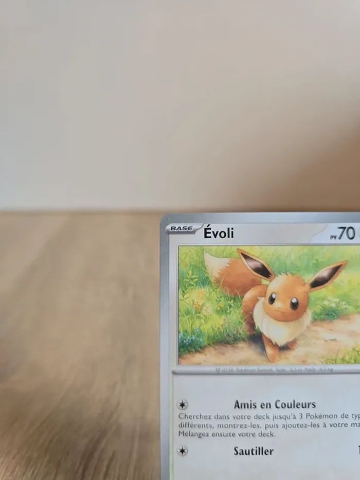 Evoli 133/165 - photo numéro 2