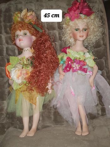 Lot 2 poupées collection