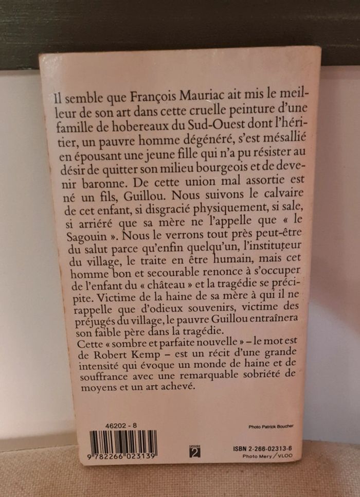 Livre Le Sagouin - photo numéro 2