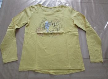 T-shirt Tigre jaune 12 ans