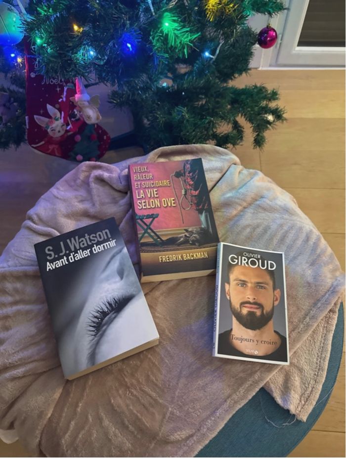 Lot de 3 livres ~ idée cadeau Noël - photo numéro 4