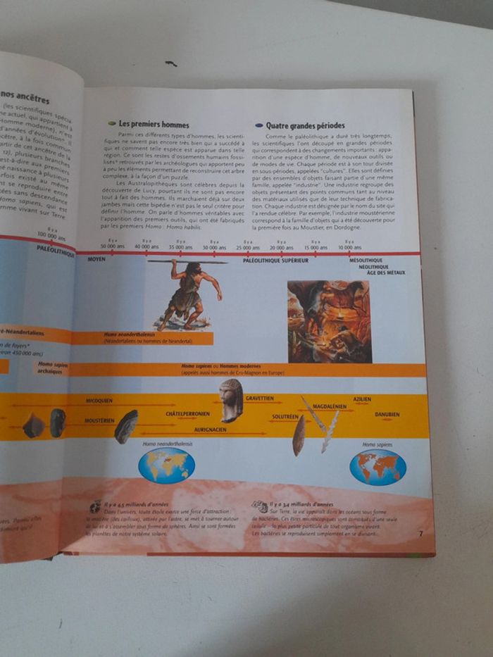 La préhistoire livre avec dvd - photo numéro 8