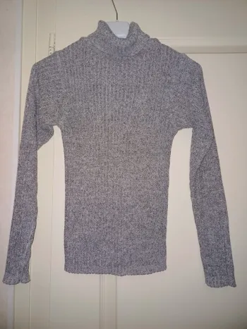Pulls col Roulé Wild Winter