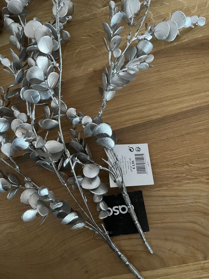 Feuillage argentée - photo numéro 2