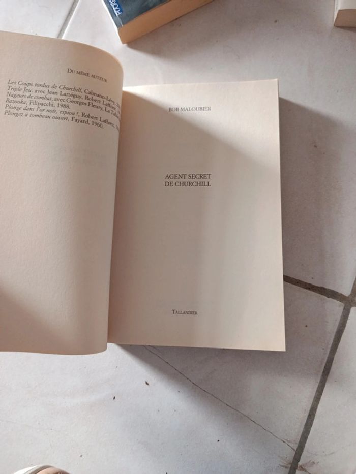 Livre Agent secret de Churchill - photo numéro 6