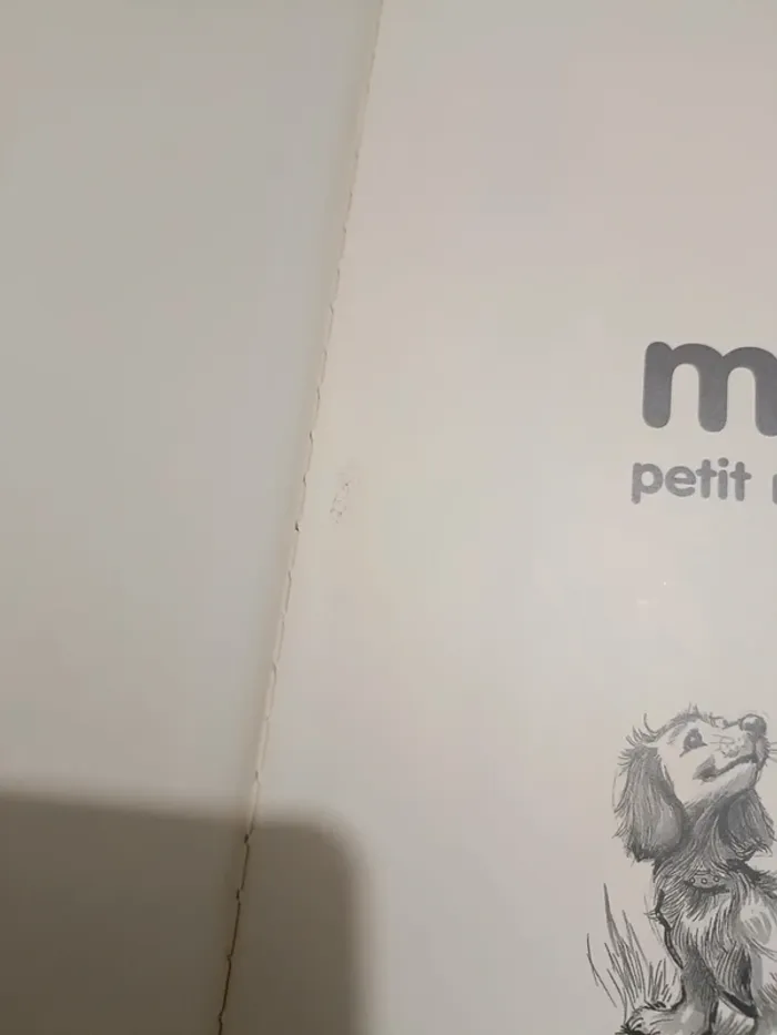 Livre Martine petit rat de l'opéra - photo numéro 5