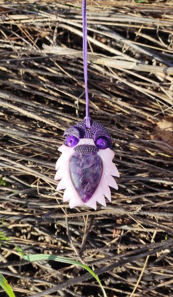 Tête de hibou