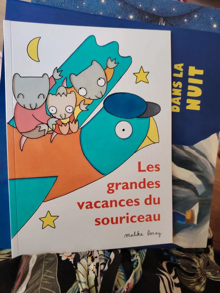 Livre "les grandes vacances du souriceau"