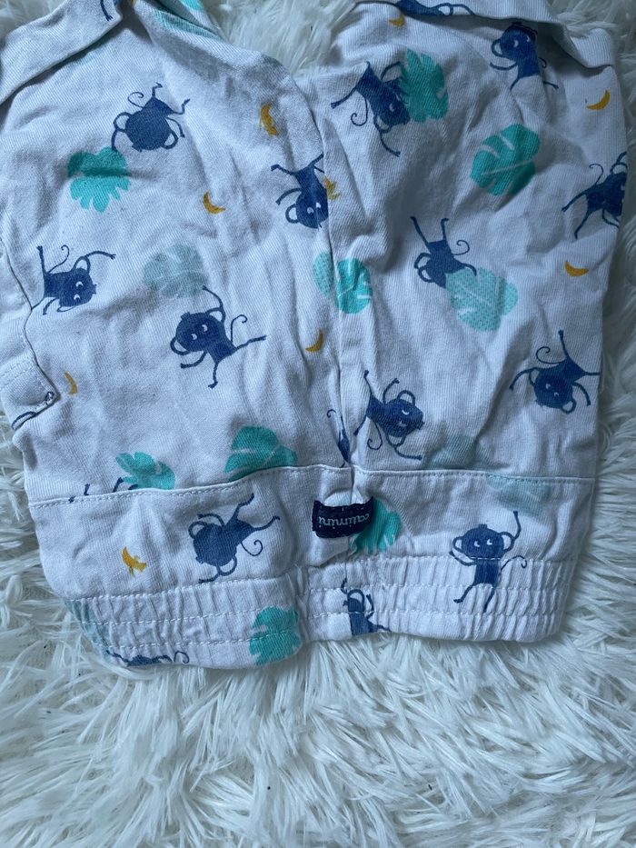 Short singe catimini - photo numéro 2