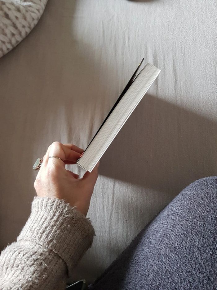 L'arlequin - Sandrine Destombes - photo numéro 3